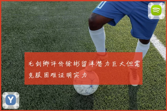 毛剑卿评价徐彬留洋潜力巨大但需克服困难证明实力