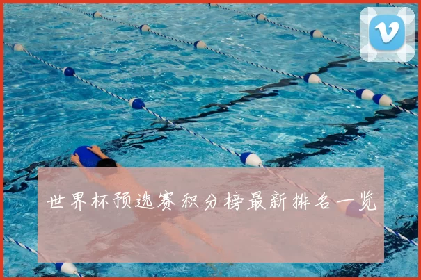 世界杯预选赛积分榜最新排名一览
