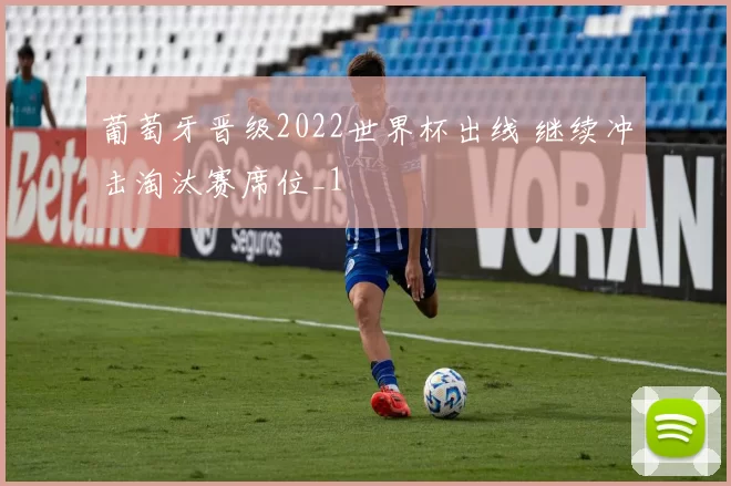 葡萄牙晋级2022世界杯出线 继续冲击淘汰赛席位_1