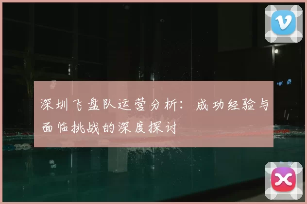 深圳飞盘队运营分析：成功经验与面临挑战的深度探讨