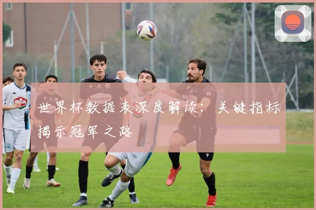 世界杯数据表深度解读：关键指标揭示冠军之路