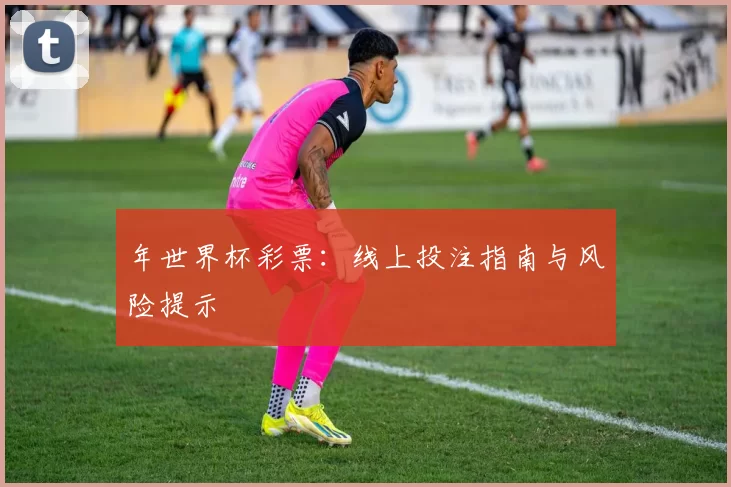 年世界杯彩票:线上投注指南与风险提示