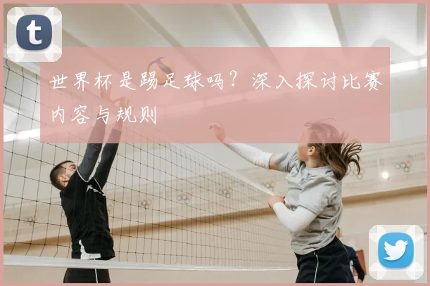 世界杯是踢足球吗?深入探讨比赛内容与规则