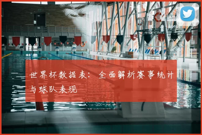 世界杯数据表:全面解析赛事统计与球队表现