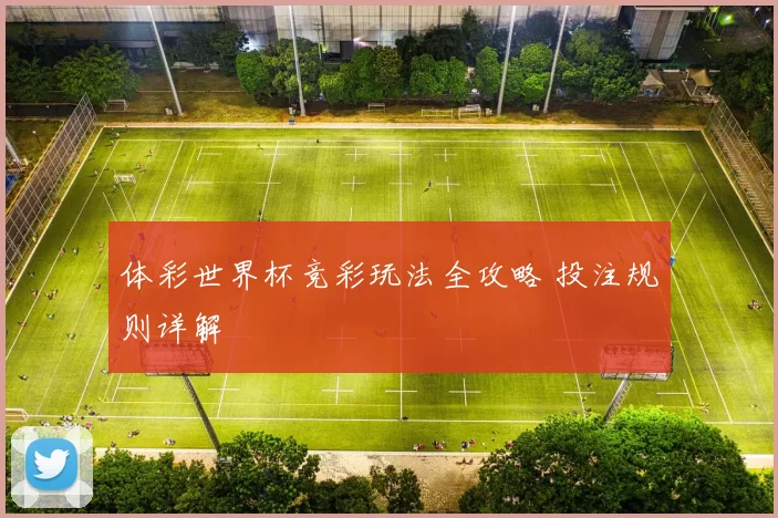 体彩世界杯竞彩玩法全攻略 投注规则详解