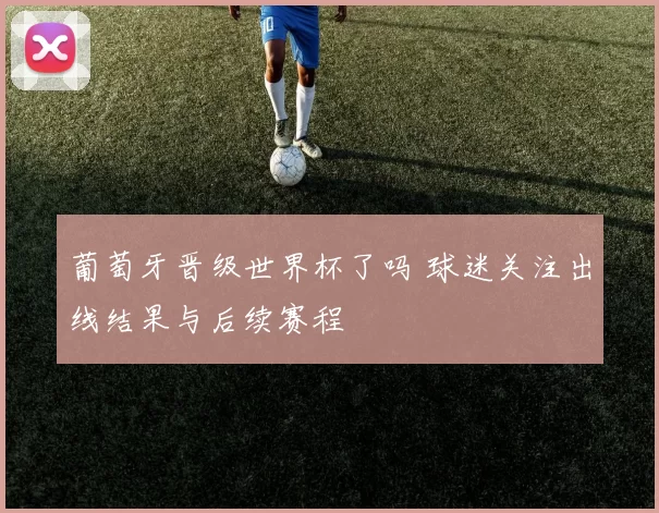葡萄牙晋级世界杯了吗 球迷关注出线结果与后续赛程