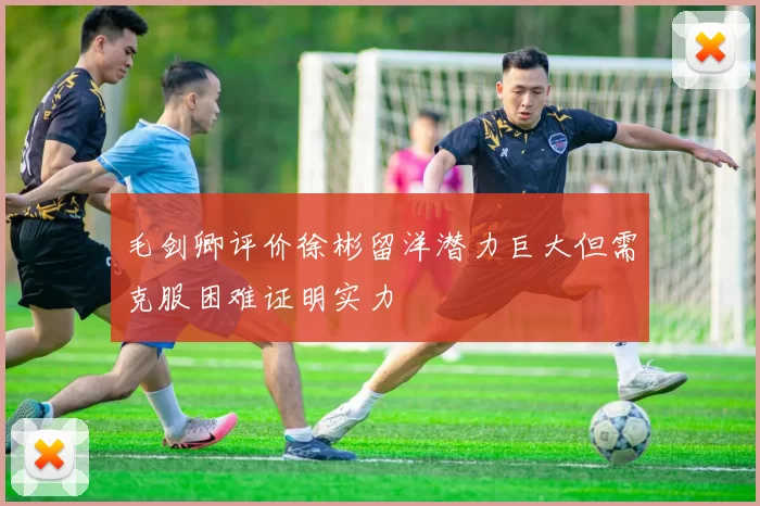 毛剑卿评价徐彬留洋潜力巨大但需克服困难证明实力