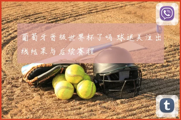 葡萄牙晋级世界杯了吗 球迷关注出线结果与后续赛程
